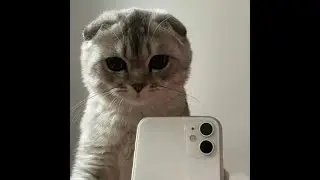 ⚡️ЛУЧШИЙ КАПТ НА SANTROPE RP-02😻