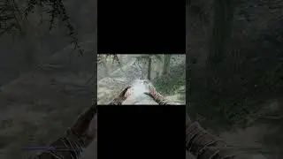 Встретил бессмертного! Skyrim