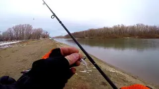Perch fishing with a drop shot leash. Fishing on a warm channel.