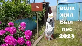 скульптура волк и тополя  жил был пес своими руками 2023