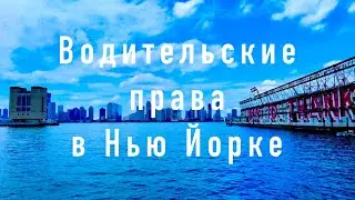 Как получить водительские права в США, Нью Йорке.