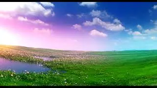 Background Loops