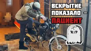 Шиндяевы: АЛЬФА ЗА 8 ТЫСЯЧ