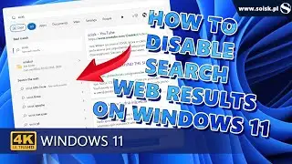 How to disable search web results on Windows 11