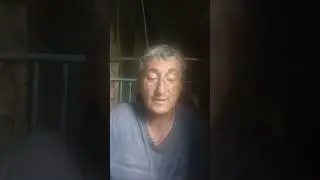 песня стоят берёзки русские