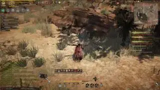 Black Desert Online. Фармим боссов, страдаем фигней