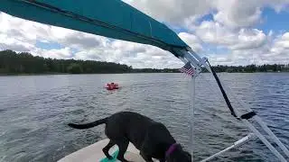 Dog Goes Tubing