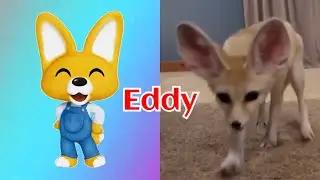 Pororo the little penguin series characters in the real life