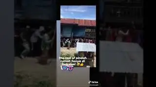 pindah rumah di Sulawesi wkwkwk🤣