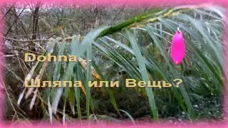FishComm Shop: Grows Culture Dohna. Шляпа или вещь?