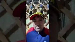 #ali #osh