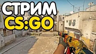 Глобал бустит. Играем ММ со зрителями. Кейсы. Розыгрыш. Стрим CS:GO
