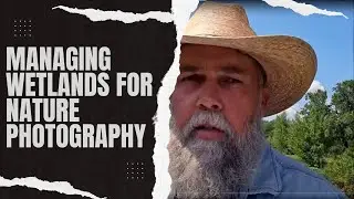 Managing Wetlands for Nature Photography
