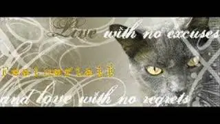 Crowfeather and Feathertail - 30 Minutes To Lose You