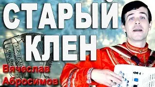 Старый клен под баян - поет Вячеслав Абросимов