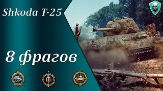 Shkoda T-25. Медаль Рэдли-Уолтерса, Воин, Основной калибр.