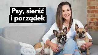 Jak się pozbyć psiej sierści? czyli moje życie z dwoma buldogami