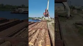 ПОГРУЗКА ЛЕСОМАТЕРИАЛА. Погрузка КРУГЛОГО ЛЕСОМАТЕРИАЛА в жд подвижной состав.