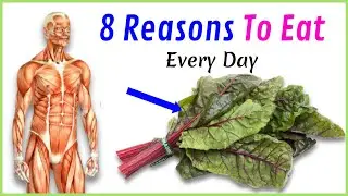 8 Reasons You Should Eat Swiss Chard Daily