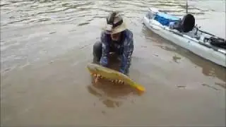 pescaria rio Miranda ,dourado de caiaque