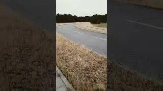 Степь