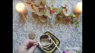💯❗Срочно,❗Встречай новые события💯🙏(Гадание на кофейной ☕гуще) онлайн#предсказаниесудьбы