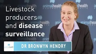 How can livestock producers help in disease surveillance? ☣️🕵️‍♂️ Animal Health Australia