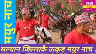 सल्यान जिल्लाकै उत्कृष्ट मयुर नाच । Mayur nach । Seringe nach