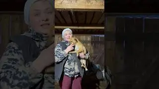 Через 2 дня едем на стерилизацию