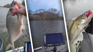 Разведка Чижевского водохранилища. Столько рыбы я еще нигде не видел!