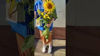 Когда упадут цены на недвижимость. #недвижимость #красота #инвестиции #ипотека