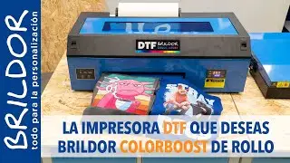 ¿¿Qué IMPRESORA DTF merece la pena COMPRAR??