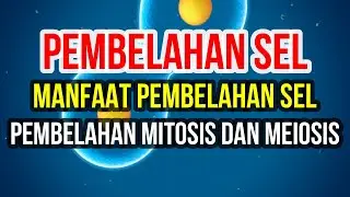 Pembelahan Sel, Manfaat Pembelahan Sel, Pembelahan Sel Mitosis dan Meiosis
