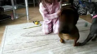 Toby, Venus and Sophie