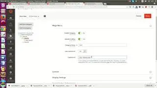 Magento 2.3 customize category url from admin - category custom URL - Path