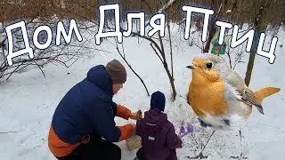 Дом Для Птиц