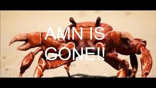 mnzp crab rave 9