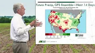 Advance Trading Corn Market Update 7.6.2022