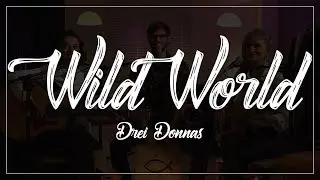 Wild World - DREI DONNAS (Banda Malibu)