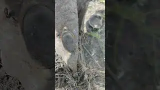 Сброс металла из СССР.