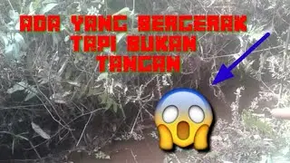 MANCING LELE/LEMBAT DI SUNGAI
