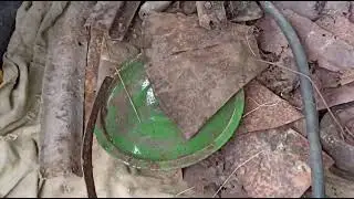 МЕТАЛОКОП! НАХОДКИ ЕСТЬ! И ЭХО ВОЙНЫ!