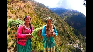 Real Queen Of The Rural Area || Rural Life In India