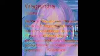 Die harmonische Acht - подорожник [prod. by grskil]
