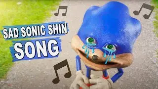 Сrying hedgehog SAD SHIN SONIC Song (Horror Meme)