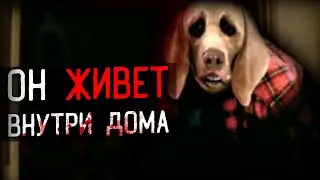 СОБАЧИЙ КОШМАР ПОХИТИЛ ДЕТЕЙ | Dog Nightmares