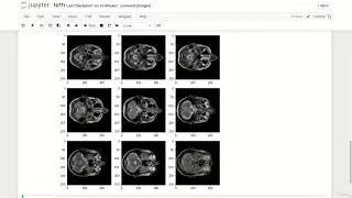 5  NIfTI in Python