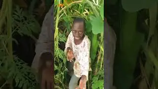 Groove to the Beat: Tenge Tenge Dance Viral