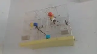 20181028_093628.mp4