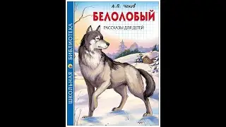 Белолобый